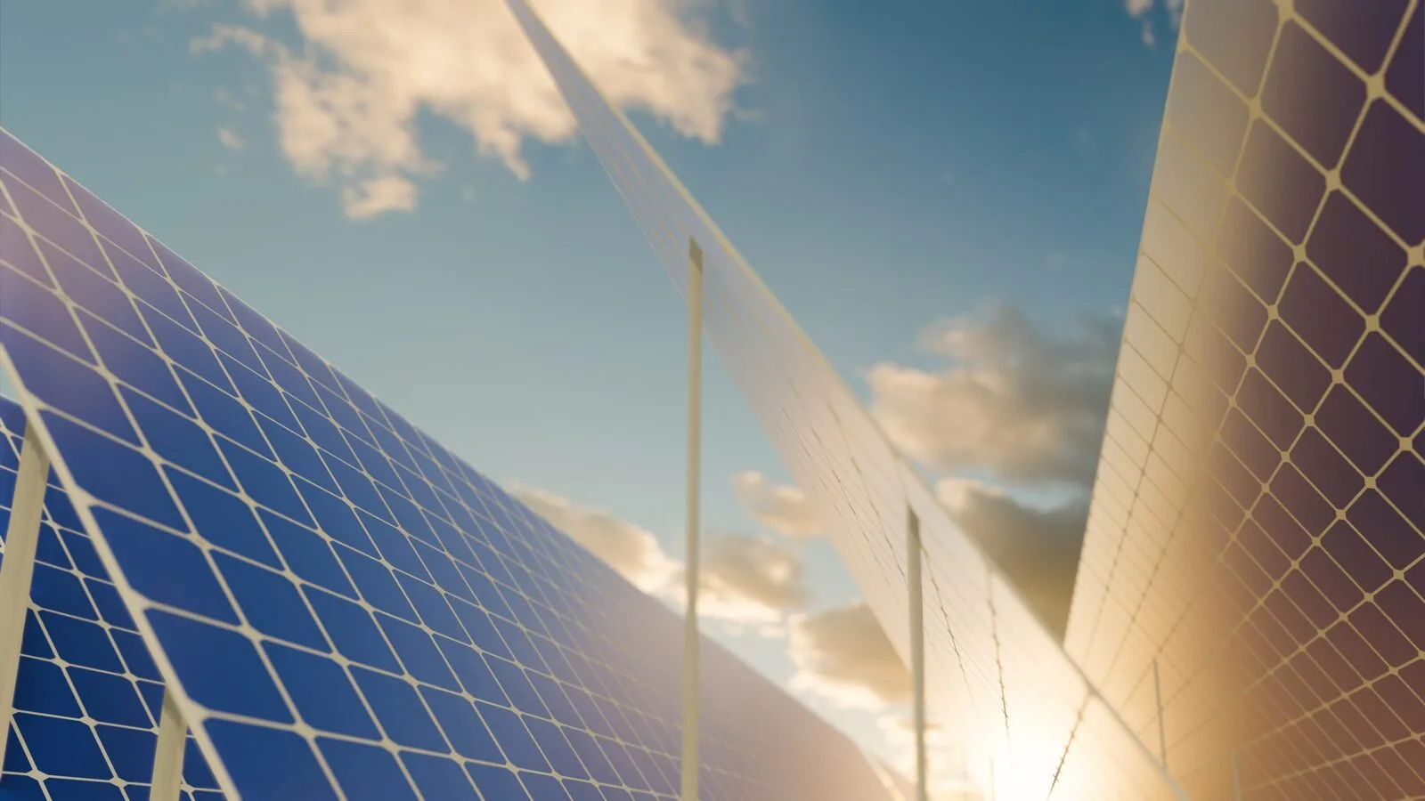 shutterstock_1917155432-scaled-_1_